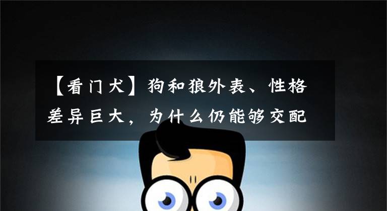 【看门犬】狗和狼外表、性格差异巨大，为什么仍能够交配？