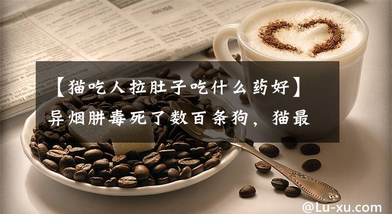 【猫吃人拉肚子吃什么药好】异烟肼毒死了数百条狗，猫最终也会中毒吗？快来看这些药丸可以挽救生命！文章配图