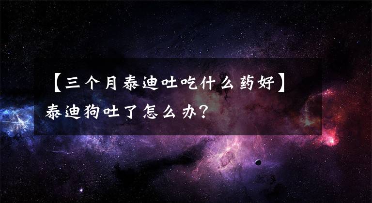 【三个月泰迪吐吃什么药好】泰迪狗吐了怎么办？文章配图