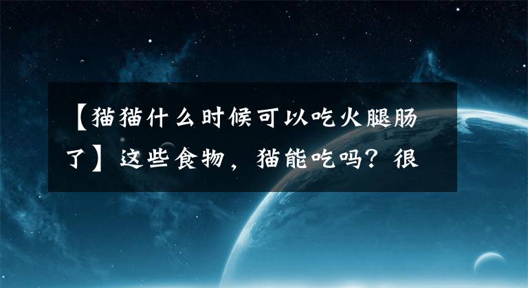 【猫猫什么时候可以吃火腿肠了】这些食物，猫能吃吗？很多插管还不清楚文章配图