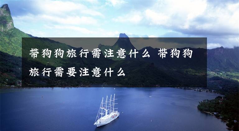带狗狗旅行需注意什么 带狗狗旅行需要注意什么文章配图