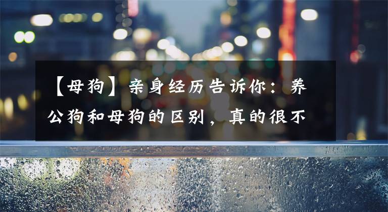 【母狗】亲身经历告诉你：养公狗和母狗的区别，真的很不一样