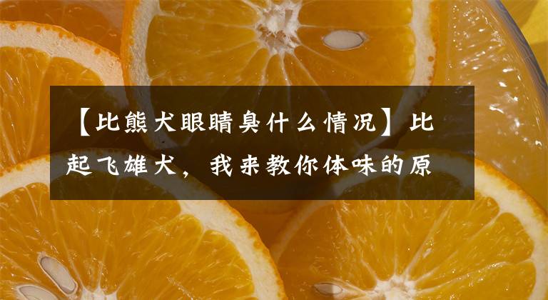 【比熊犬眼睛臭什么情况】比起飞雄犬，我来教你体味的原因和清洗方法，以及几种方法文章配图