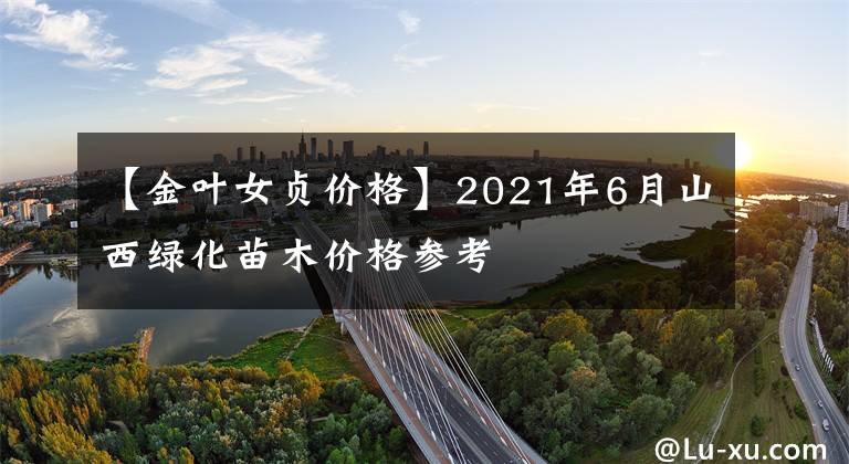 【金叶女贞价格】2021年6月山西绿化苗木价格参考