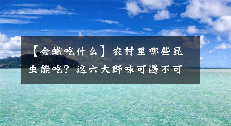 【金蟾吃什么】农村里哪些昆虫能吃？这六大野味可遇不可求，有的一盘就数百元！