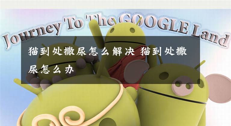 猫到处撒尿怎么解决 猫到处撒尿怎么办文章配图