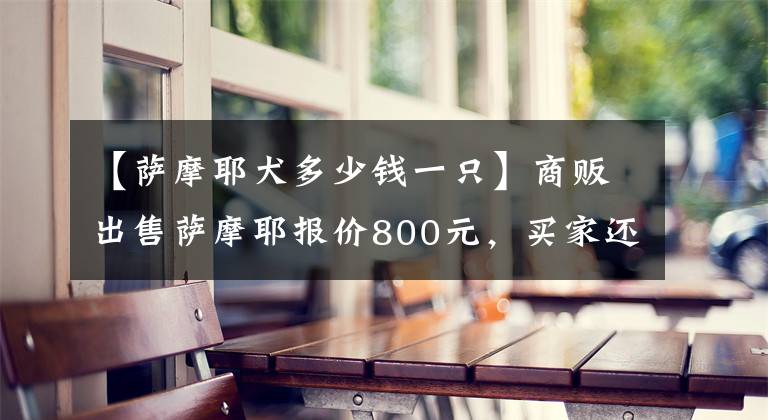 【萨摩耶犬多少钱一只】商贩出售萨摩耶报价800元，买家还价500元购买，商贩爽快答应！