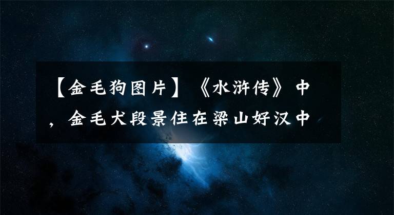 【金毛狗图片】《水浒传》中，金毛犬段景住在梁山好汉中排名最末是否屈才？