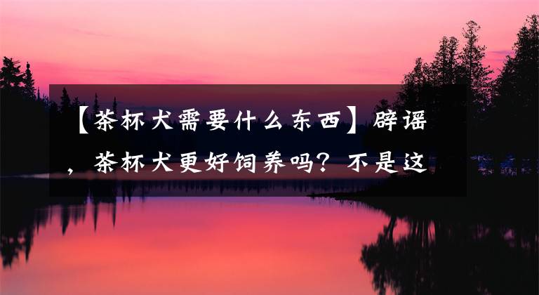 【茶杯犬需要什么东西】辟谣，茶杯犬更好饲养吗？不是这样的。是人工繁殖的悲哀。文章配图