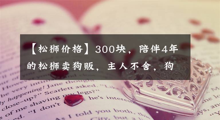 【松狮价格】300块，陪伴4年的松狮卖狗贩，主人不舍，狗贩装，狗狗伤心不停望