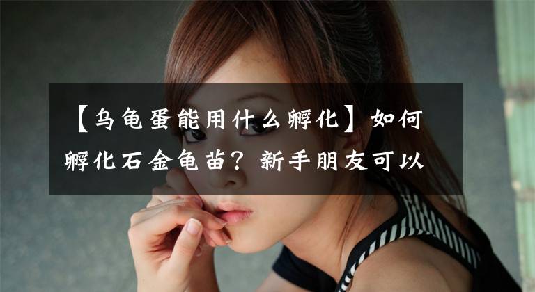 【乌龟蛋能用什么孵化】如何孵化石金龟苗？新手朋友可以这样跟着做文章配图