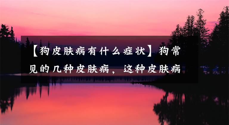 【狗皮肤病有什么症状】狗常见的几种皮肤病，这种皮肤病发病时有什么症状？文章配图