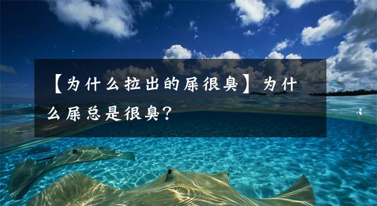 【为什么拉出的屎很臭】为什么屎总是很臭？文章配图
