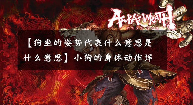 【狗坐的姿势代表什么意思是什么意思】小狗的身体动作详细说明，加10级狗鱼文章配图