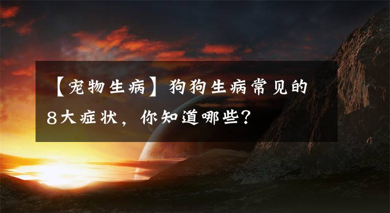 【宠物生病】狗狗生病常见的8大症状，你知道哪些？