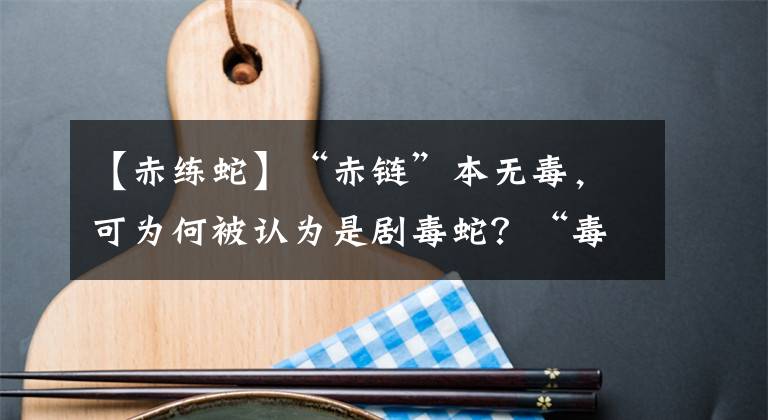 【赤练蛇】“赤链”本无毒，可为何被认为是剧毒蛇？“毒蟾”说了算