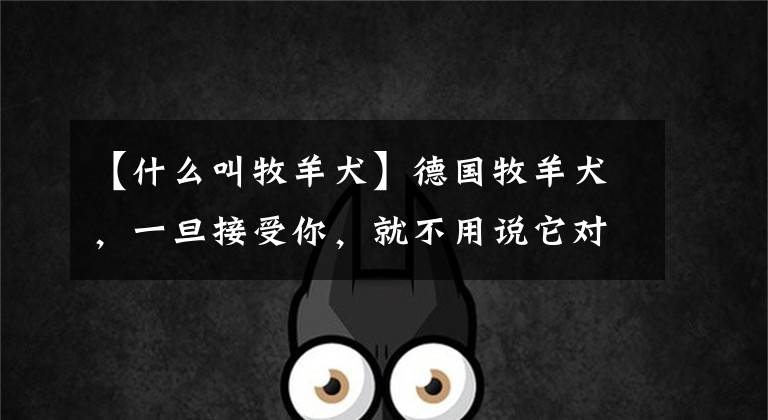【什么叫牧羊犬】德国牧羊犬，一旦接受你，就不用说它对你有多温柔了。文章配图