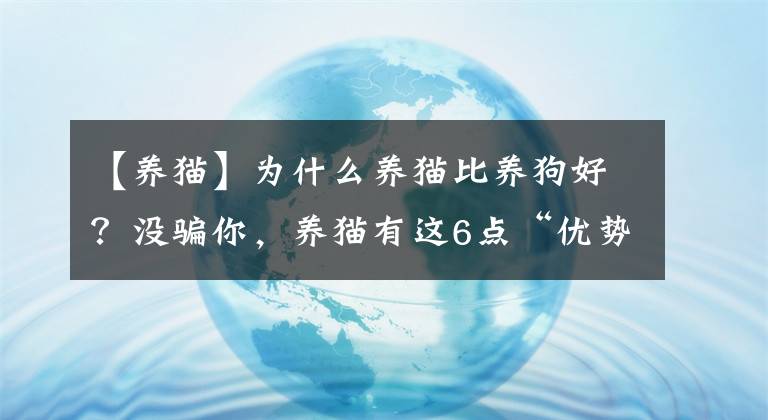 【养猫】为什么养猫比养狗好？没骗你，养猫有这6点“优势”