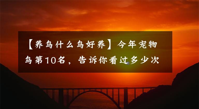 【养鸟什么鸟好养】今年宠物鸟第10名，告诉你看过多少次？文章配图