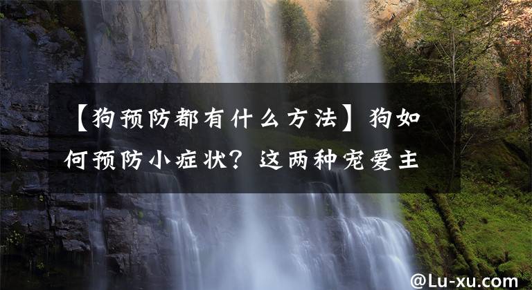 【狗预防都有什么方法】狗如何预防小症状？这两种宠爱主要要铭记文章配图