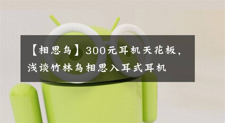 【相思鸟】300元耳机天花板，浅谈竹林鸟相思入耳式耳机