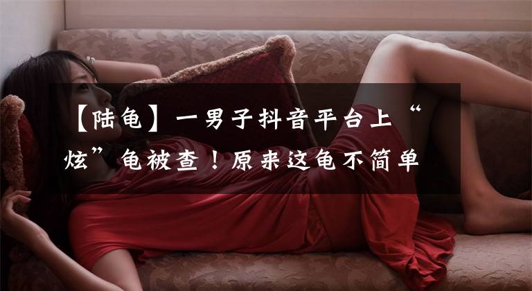 【陆龟】一男子抖音平台上“炫”龟被查！原来这龟不简单……文章配图