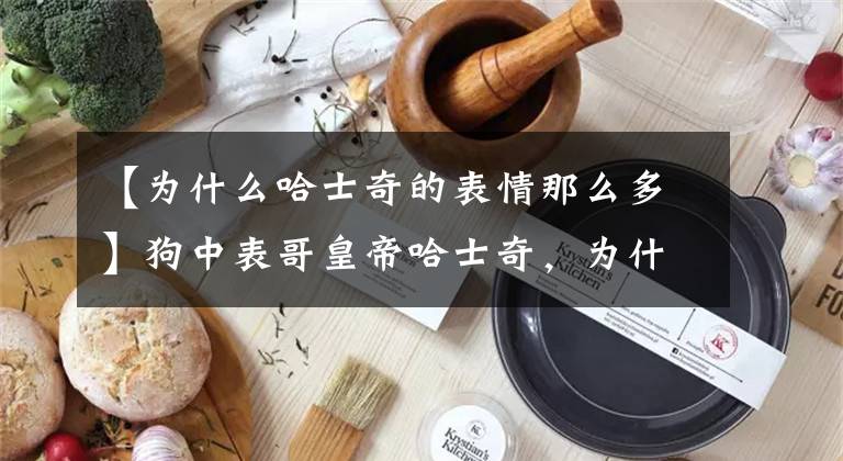 【为什么哈士奇的表情那么多】狗中表哥皇帝哈士奇，为什么看起来这么“二”？文章配图
