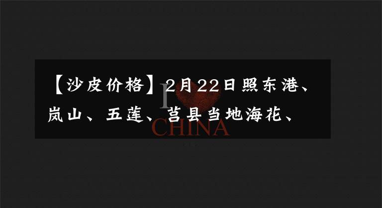 【沙皮价格】2月22日照东港、岚山、五莲、莒县当地海花、白沙、花育系列行情