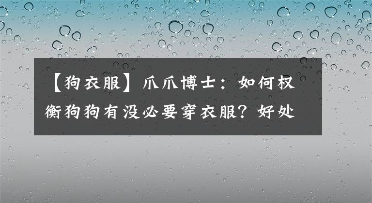 【狗衣服】爪爪博士：如何权衡狗狗有没必要穿衣服？好处与坏处解析