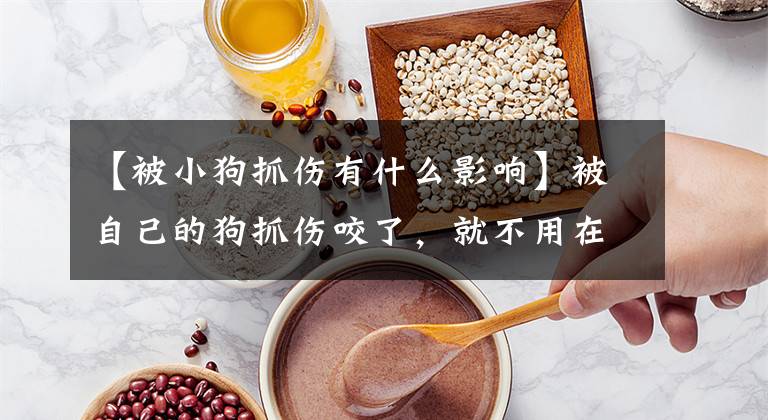 【被小狗抓伤有什么影响】被自己的狗抓伤咬了，就不用在意了吗？基本处理不能少，主人不能疏忽文章配图
