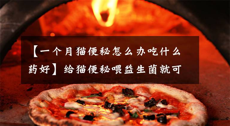 【一个月猫便秘怎么办吃什么药好】给猫便秘喂益生菌就可以了吗？便秘没那么简单，关键是对症下药文章配图