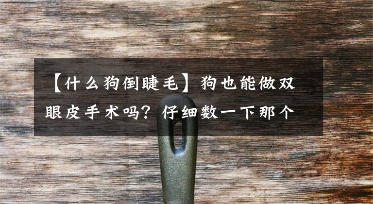 【什么狗倒睫毛】狗也能做双眼皮手术吗？仔细数一下那个常见的宠物手术文章配图