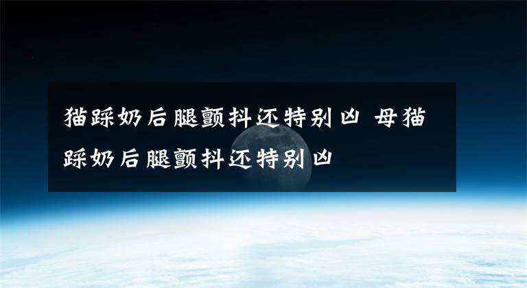 猫踩奶后腿颤抖还特别凶 母猫踩奶后腿颤抖还特别凶文章配图