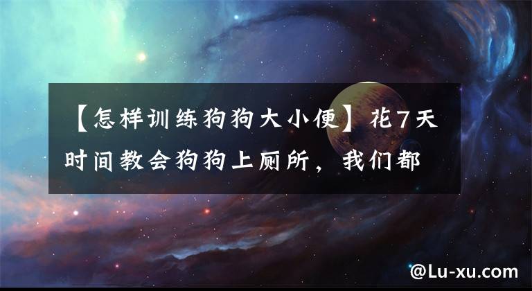 【怎样训练狗狗大小便】花7天时间教会狗狗上厕所，我们都是这么做的