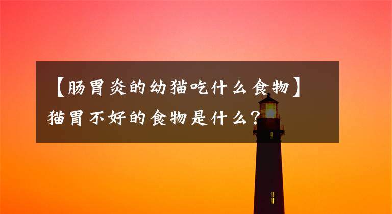 【肠胃炎的幼猫吃什么食物】猫胃不好的食物是什么？文章配图