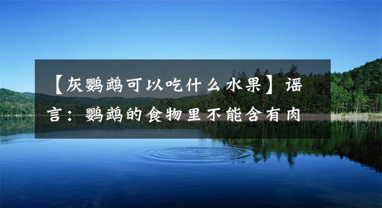 【灰鹦鹉可以吃什么水果】谣言：鹦鹉的食物里不能含有肉类吗？少量进入，可以补充身体所需的蛋白质文章配图