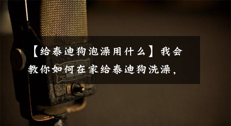 【给泰迪狗泡澡用什么】我会教你如何在家给泰迪狗洗澡，节省宠物店的钱。文章配图