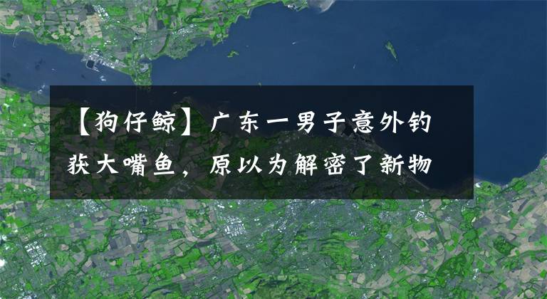 【狗仔鲸】广东一男子意外钓获大嘴鱼，原以为解密了新物种，结果却哭笑不得