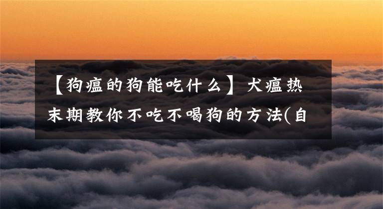 【狗瘟的狗能吃什么】犬瘟热末期教你不吃不喝狗的方法(自治第17日)文章配图