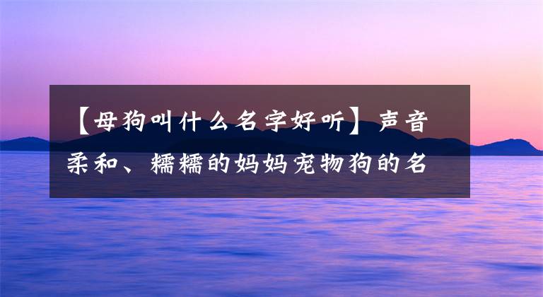 【母狗叫什么名字好听】声音柔和、糯糯的妈妈宠物狗的名字正合适----------------可爱