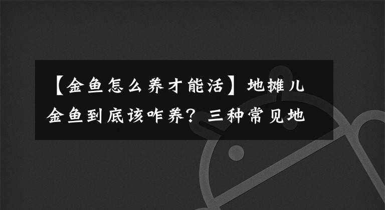 【金鱼怎么养才能活】地摊儿金鱼到底该咋养？三种常见地摊儿鱼，三个养鱼套路全搞定