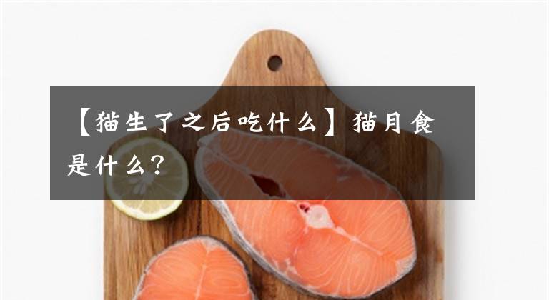 【猫生了之后吃什么】猫月食是什么？文章配图