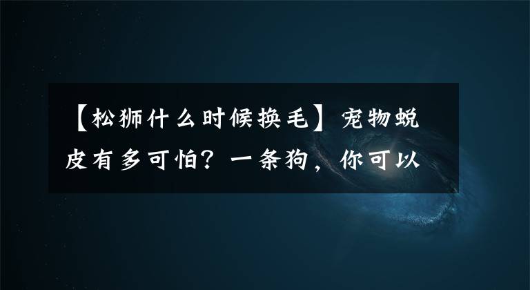 【松狮什么时候换毛】宠物蜕皮有多可怕？一条狗，你可以搓一条狗文章配图