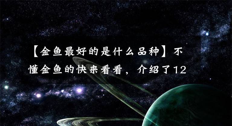 【金鱼最好的是什么品种】不懂金鱼的快来看看，介绍了12种常见金鱼的照片文章配图