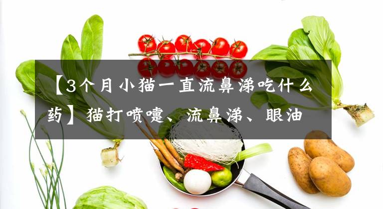 【3个月小猫一直流鼻涕吃什么药】猫打喷嚏、流鼻涕、眼油液、猫鼻支都要去医院吗？家庭治疗方法文章配图