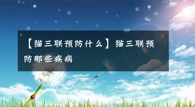 【猫三联预防什么】猫三联预防那些疾病文章配图