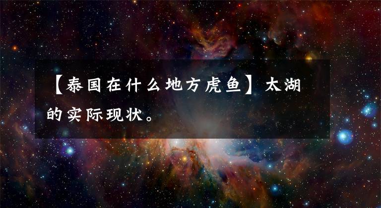 【泰国在什么地方虎鱼】太湖的实际现状。文章配图