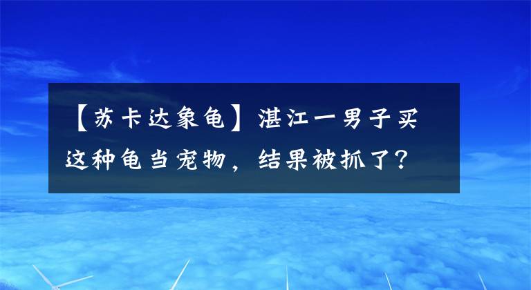 【苏卡达象龟】湛江一男子买这种龟当宠物，结果被抓了？