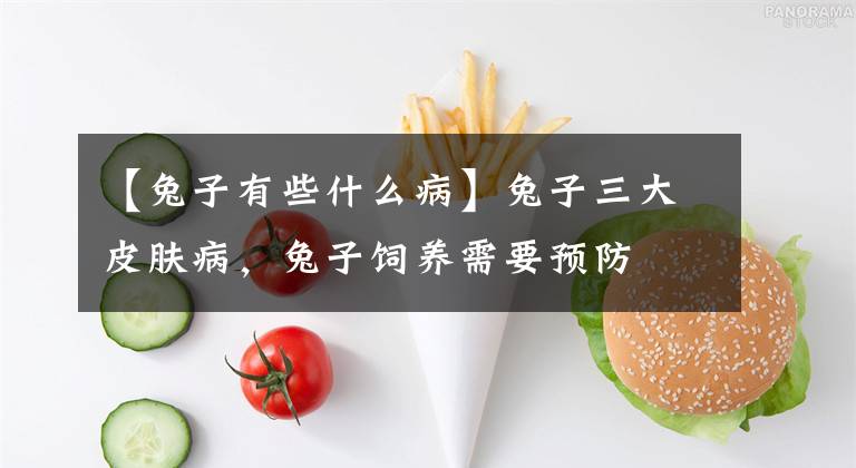 【兔子有些什么病】兔子三大皮肤病，兔子饲养需要预防文章配图
