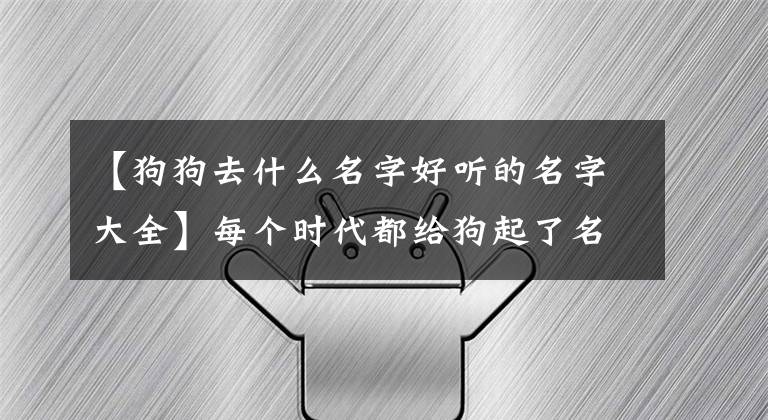 【狗狗去什么名字好听的名字大全】每个时代都给狗起了名字，但还是会在00年后玩。文章配图